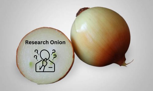 In this article, we delve into the layers of the Research Onion Saunders Methodology developed by Professor Mark Saunders, ....